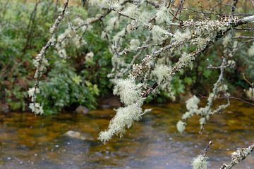 Schottland - schöne Landschaften von Ronald Harmsen