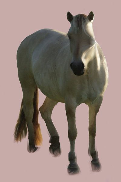 Cheval violet par Istvan Szabo