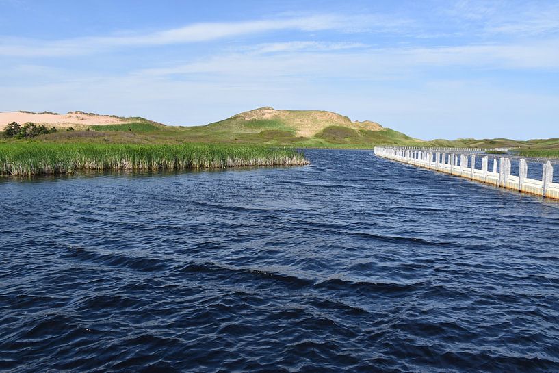 The park's pond in summer by Claude Laprise