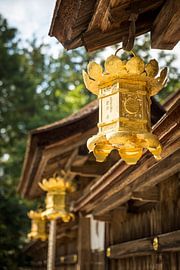 Goldene Laternen am Kumano Hongū Taisha von Patrick Kilb