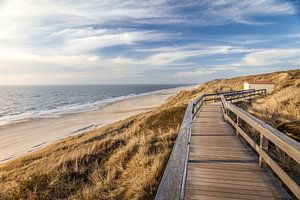 Dünenweg Rotes Kliff bei Wenningstedt, Sylt von Christian Müringer