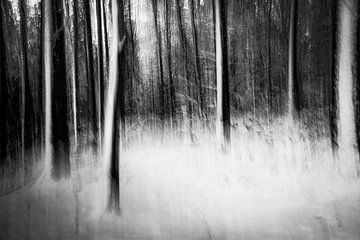 Forêt de conte de fées hivernale en noir et blanc sur Nicc Koch