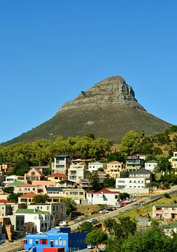 the Lion's Head in Cape Town by Werner Lehmann