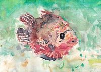 Tropische Fische