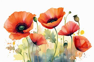 Coquelicots sur Imagine