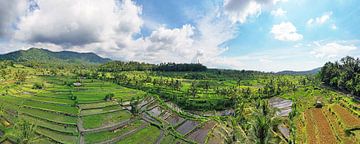 Lucht panorama van de rijstvelden bij Sidemen op Bali Indonesië van Eye on You