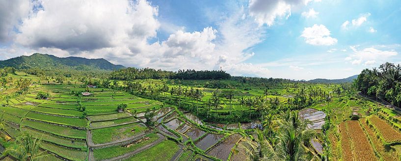 Panorama aérien de rizières près de Sidemen à Bali en Indonésie par Eye on You