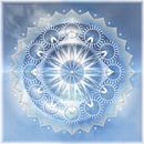 Mandala - Het Licht van Shirley Hoekstra thumbnail
