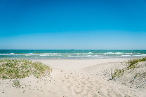 Ostseestrand Insel Rügen
