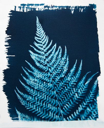 Fougère bleue sur Greetje Heemskerk