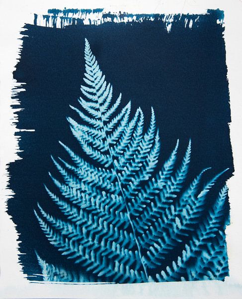Blue fern by Greetje Heemskerk