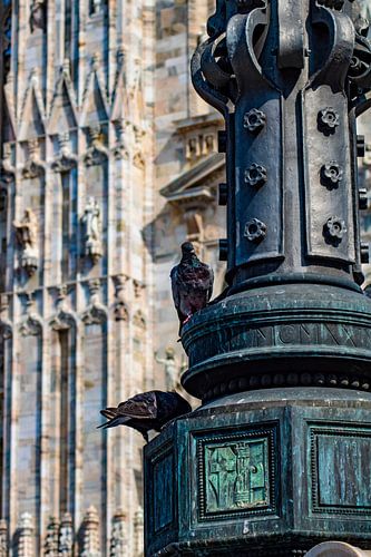 Piazza del duomo Milaan