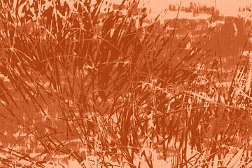 Abstract minimalist botanical art. Grass in terracotta, warm brown, coral. by Dina Dankers