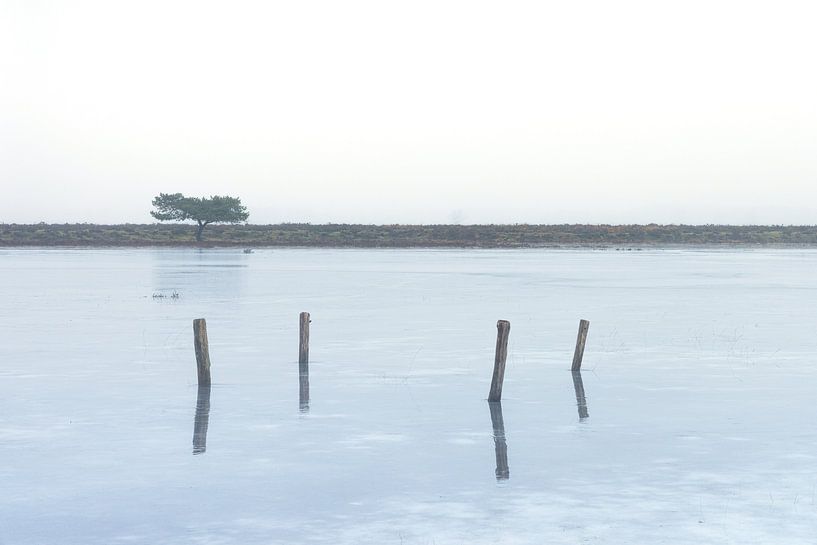 Dwingelderveld (Netherlands) by Marcel Kerdijk
