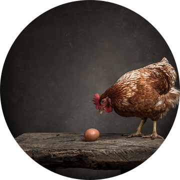 De kip en het ei   - Serie - 2/3 van Mariska Vereijken