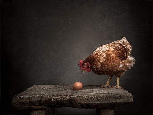 Das Huhn und das Ei - Serie - 2/3 von Mariska Vereijken