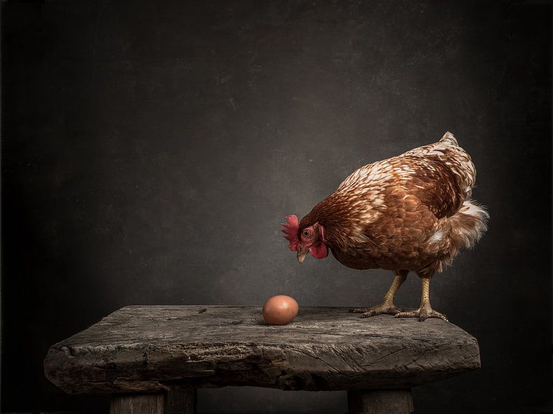 The chicken and the egg - Series - 2/3 by Mariska Vereijken