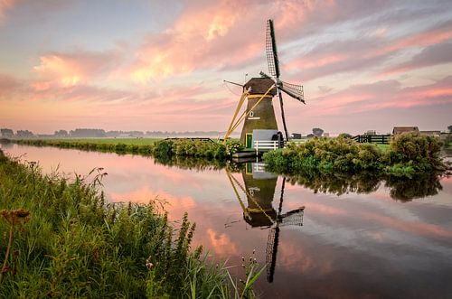 Early morning reflections