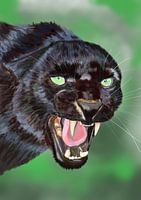 Zwarte panter