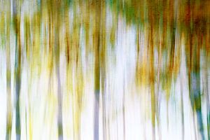 Forêt printanière abstraite et très colorée