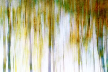 Voorjaarsbos abstract en veel kleurig van Jeannet Zwols  Fotografie