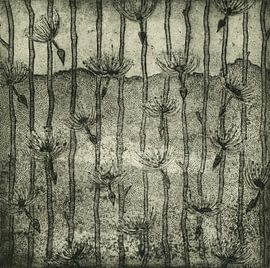 Parachut Zaden van Helga Pohlen - ThingArt