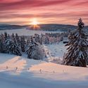 Scandinavië
