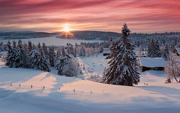Norwegian Sunrise in Sjusjoen near Lillehammer by Rob Kints