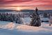 Besneeuwde blokhutten en bomen aan de oever van Sjusjoen Meer tijdens tijdens zonsopkomst van Rob Kints