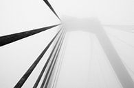 Willemsbrug, Rotterdam by Martijn Smeets thumbnail