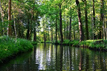 Spreewald-Impressie 6.0 van Ingo Laue