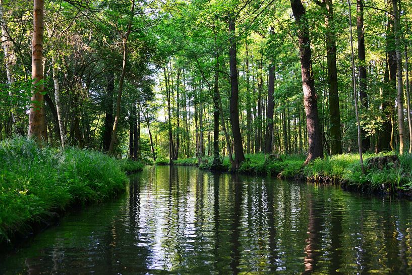 Spreewald-Impression 6.0 von Ingo Laue