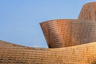 Guggenheim Museum, Bilbao by Henk Meijer Photography thumbnail