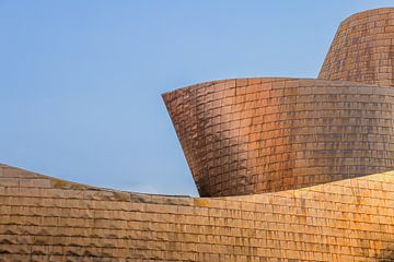 Guggenheim Museum, Bilbao van Henk Meijer Photography