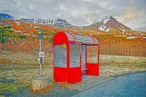 Iceland by bus