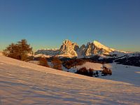 Alpe di Siusi met Sassolungo en Sassopiatto, Dolomieten