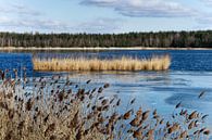 Winter rest on a lake by Ralf Lehmann thumbnail