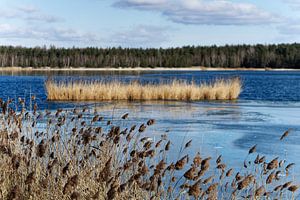 Winterruhe an einem See