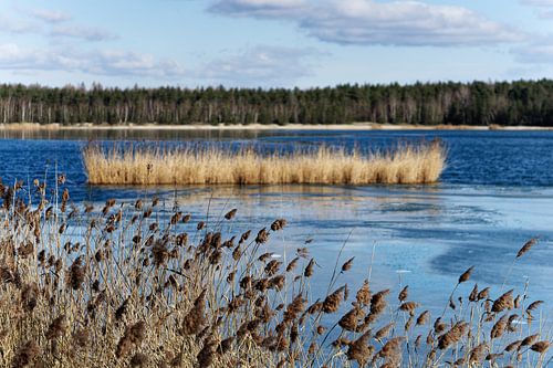 Winterruhe an einem See von Ralf Lehmann