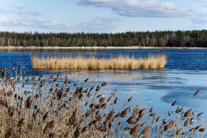 Winter rest on a lake by Ralf Lehmann