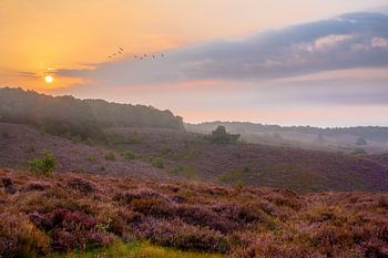 Zonsopkomst boven de Posbank