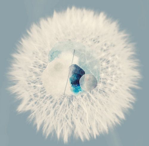 Dandelion of life