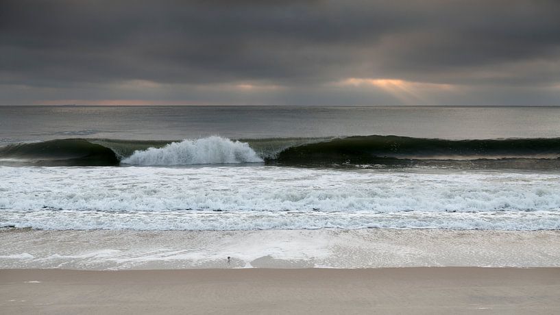 Waves 4 van Wad of Wonders