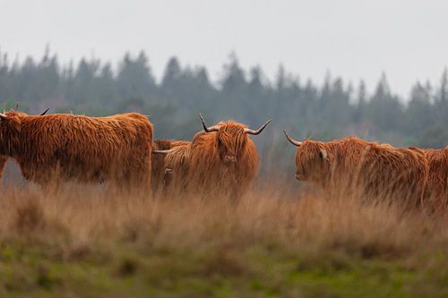 Even in the darkest moments, you're not alone.