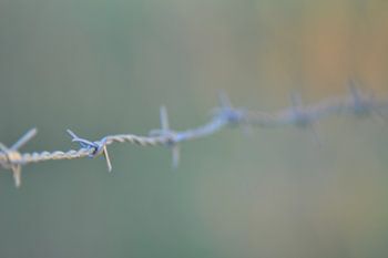 Barbed wire