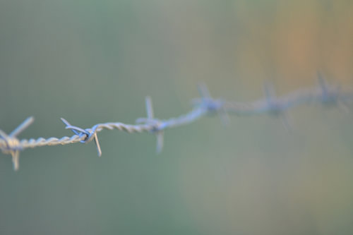 Stacheldraht