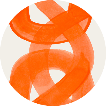Oranje kwast van Ejaaz Haniff