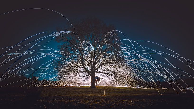 Fireworks of burning steel wool in a bare tree by Fotografiecor .nl