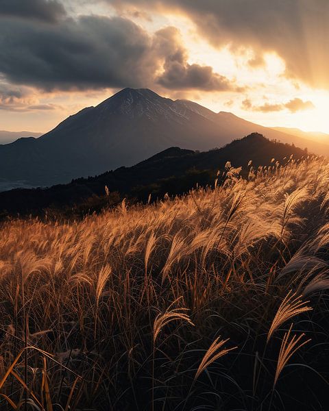 Herbststimmung im Sonnenaufgang von fernlichtsicht