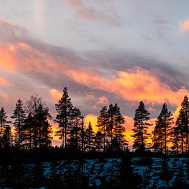 Feuriger Sonnenuntergang von Ton van Buuren